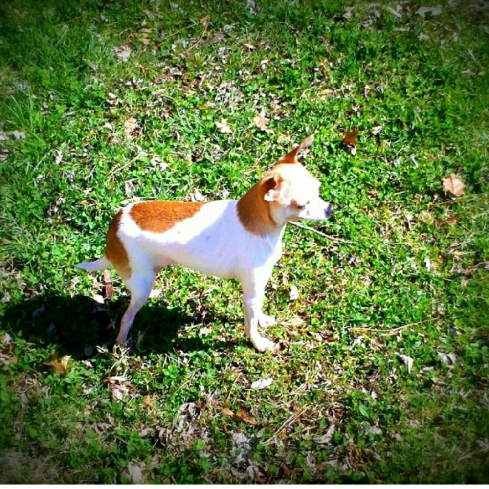 Meet your Posher, Jamie